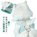 マジックテープ ペット 翼 ウェア 翼付き かわいい リード セット 犬 おしゃれ 猫 ソフトハーネス 胴輪 翼つき小型犬 イヌ ネコ 子犬 つばさ リード付き...