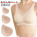 乳がん 乳癌 小さいサイズ 後 全摘 左右 人工乳房 大きいサイズ 全摘術専用 術後ブラ パット 乳がん 手術 乳がん 下着 術 後 下着 痛み 術後 術部が落...