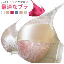 人工乳房 シリコンバスト 術後 専用ブラジャー 女装グッズ おっぱい ブラ 女装 全摘 乳がん パット 貧乳 コスプレ ブラジャー パッド シリコンバスト バス...