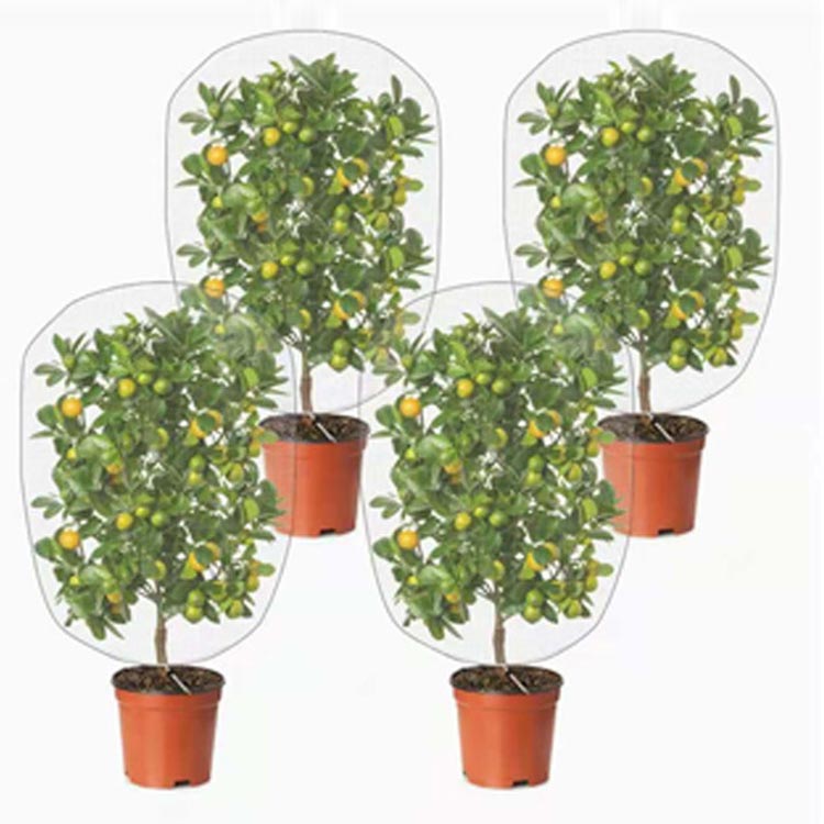 ベランダ 鉢植え用 防鳥ネット 防虫ネット 園芸用ネット 菜園 プランター 網 【2個...