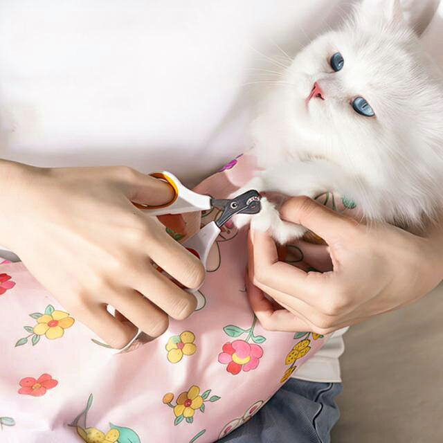 猫 包むだけ 歯磨き お助け グッズ グルーミング トリミング 小型犬 爪切り くっつくクロス タオル マジックテープのように 正方形 カメララップ ハンカチ ラップクロス ゲーム機 保護カバー 保護ケース カメラ 70cm 50cm 爪切り kuriesu-10004844 クリエス サンプル画像2
