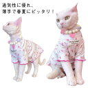 猫 服 犬 服 春夏 涼しい 小型犬 キャットウェア ドッグウェア ペットウェア 薄手 通気性 インスタ映え 韓国風 お散歩 カットソー ドッグウェア Tシャツ...