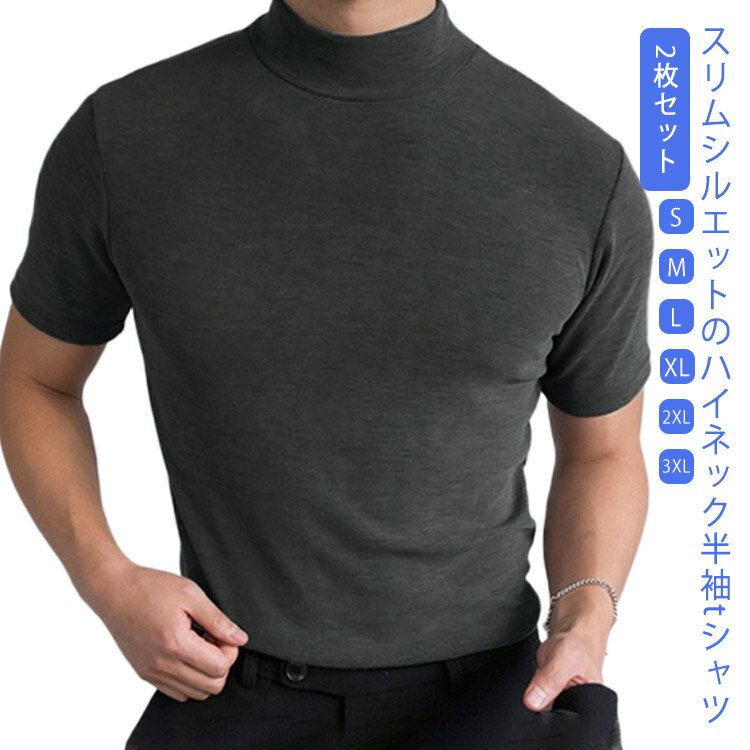 ハイネック ゴルフウェア 半袖 通学 メンズ モックネックシャツ Tシャツ 半袖Tシャツ 無地tシャツ カットソー スリム トップス シンプル ストレッチ トッ...