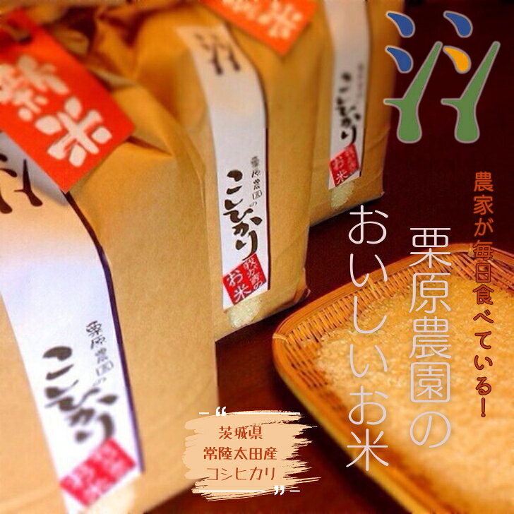 サンプル画像2