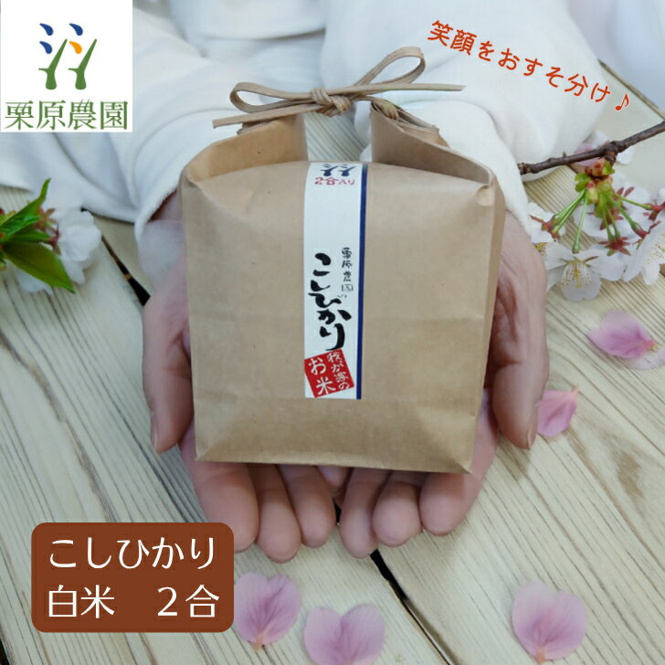 こしひかり 令和7年度�