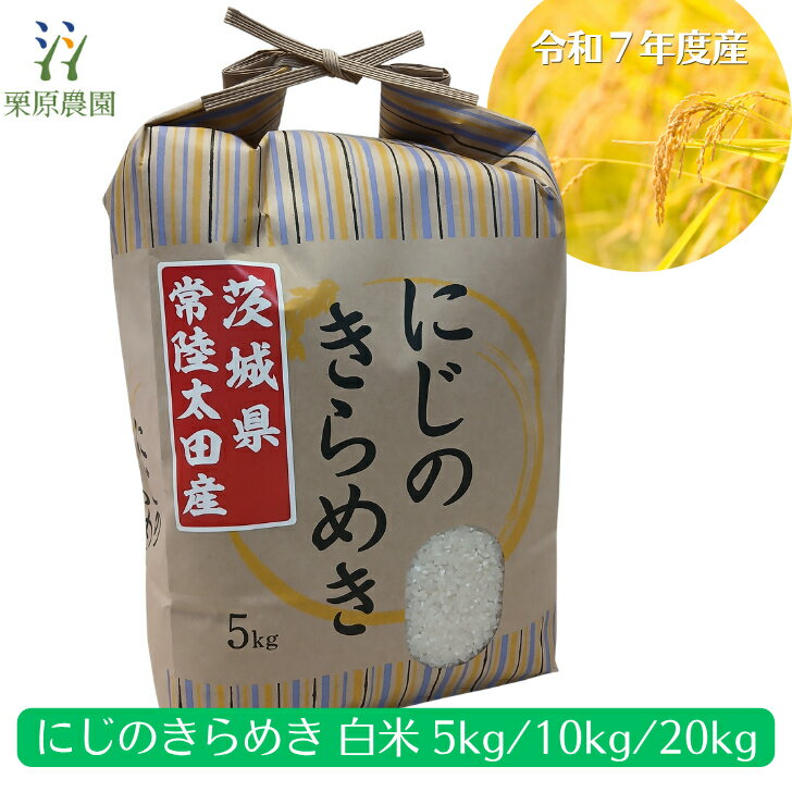 楽天市場】稔りの輝き 10kgの通販