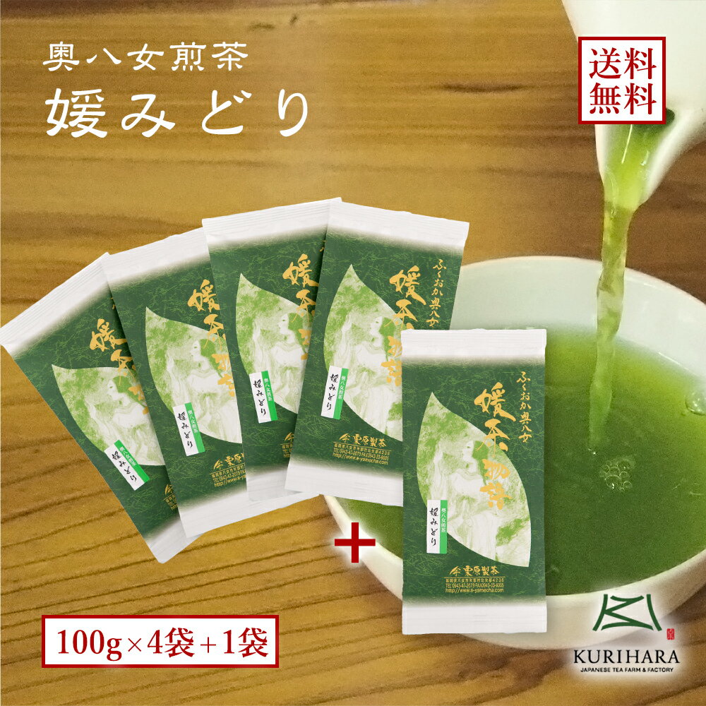 【新茶】令和6年産 八女茶100％ 【メ