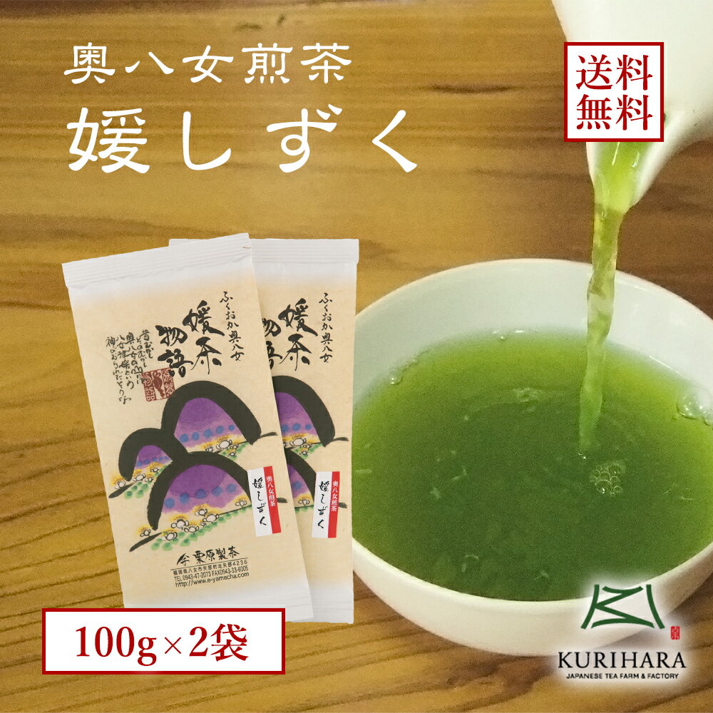 八女茶100% 煎茶 緑茶 日本茶 送料無
