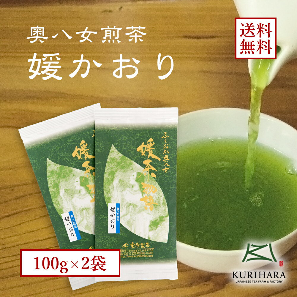 八女茶100% 煎茶 緑茶 日本茶 送料無料 メール便 奥八女煎茶 媛かおり 200g ( 100g×2本 ) セット 減農薬 エコファーマー 認定 福岡 九州...