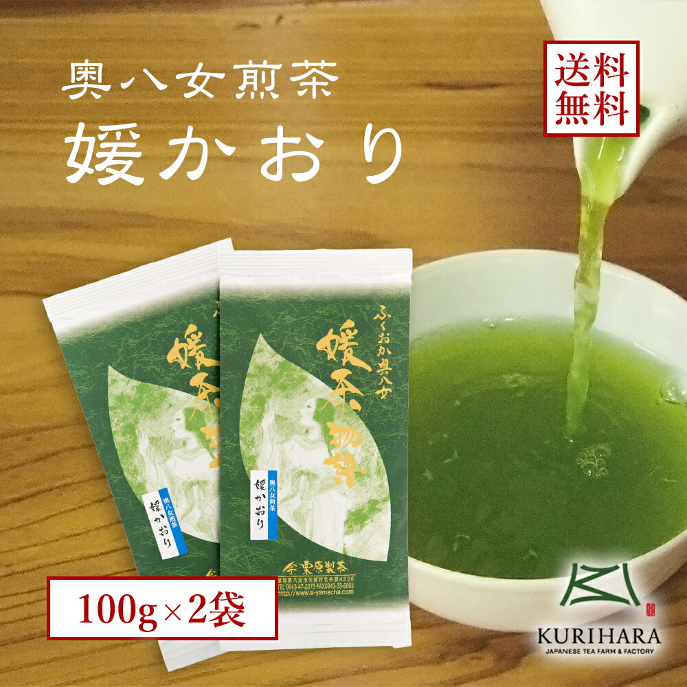 八女茶100％ 煎茶 緑茶 日本茶 送料