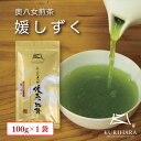 奥八女煎茶『媛しずく』100g