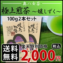 【メール便送料無料】極上煎茶(媛しずく)100g2本セット