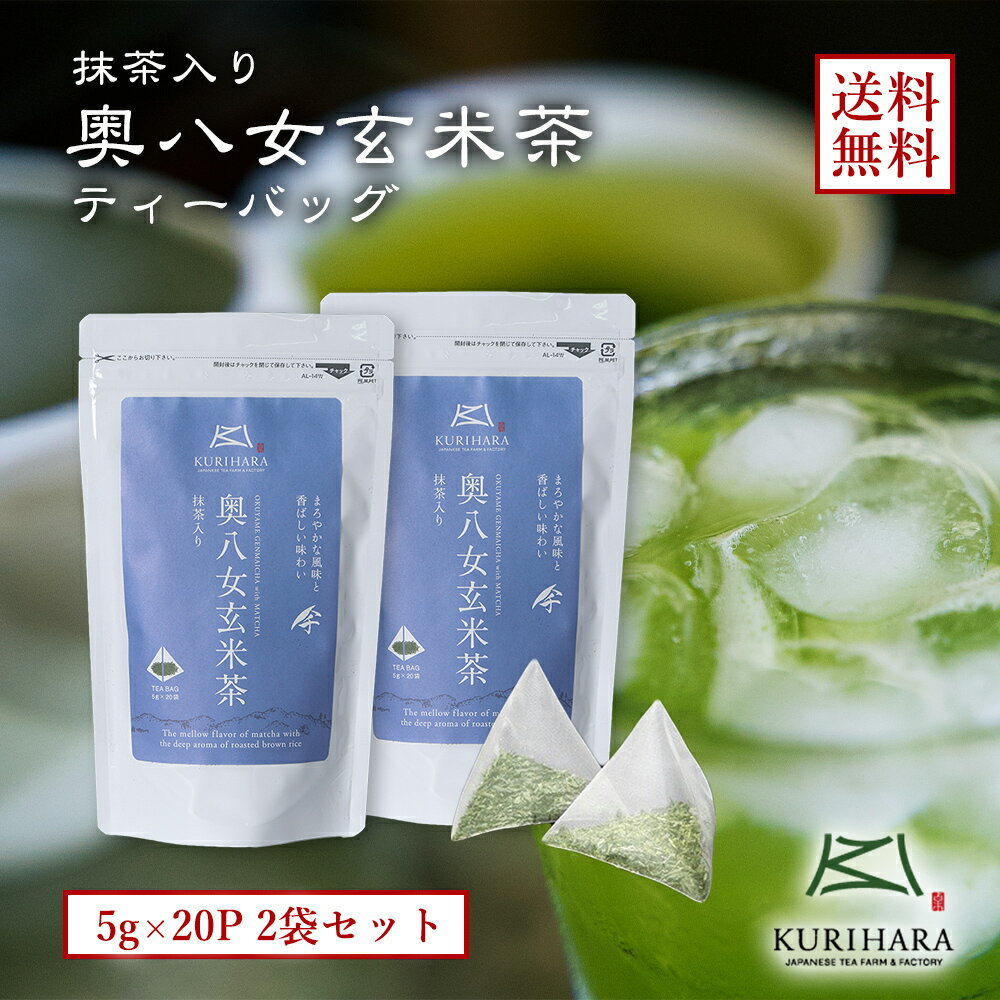 八女茶 玄米茶 緑茶 日本茶 水出し 冷茶 送料無料 メール便 玄米茶ティーバッグ 5g×20P 2袋セット 減農薬 エコファーマー 認定 福岡 九州 産