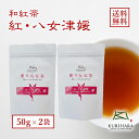 【メール便送料無料】紅茶「紅・八女津媛」50g×2本セット