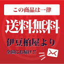 いでゆむし羊羹（ようかん）【こし】お試しサイズ【メール便】栗蒸しようかん 送料無料【伊豆柏屋 伊豆 お土産 特産 名産 ようかん 和 スイーツ お試し】