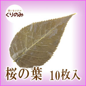 【国産】桜の葉 樽 塩漬け 10枚 さくら餅 サクラ餅 桜餅 材料 業務用