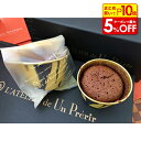 【店内最大50%OFF+ポイント45倍】ショコラ・ドゥ・エス 8個 ショコラ チョコ イチゴ マンゴー エスプレッソ ガトーショコラ チョコ チョコレート ヘーゼルナッツ チョコソース チョコレート菓子 カカオ 洋菓子 焼菓子 業務用