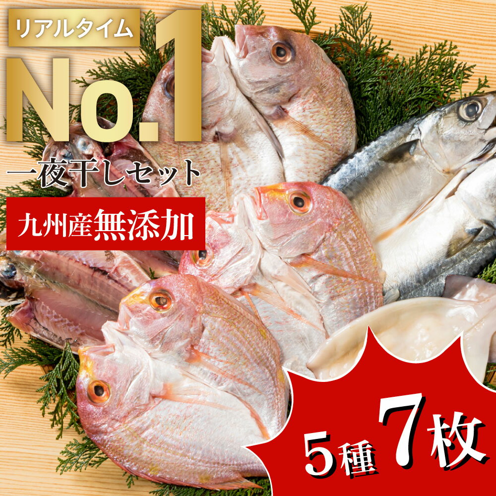 干物 九州産無添加干物セット 5種 910g 真鯛 連子鯛 真あじ さば スルメイカ ひもの himono 詰め合わせ 無添加 無着色 ギフト お中元 お歳暮 お年賀 暑中見舞い 残暑見舞い 父の日 母の日 敬老の日 お取り寄せグルメ 御歳暮 内祝い 干物 セット