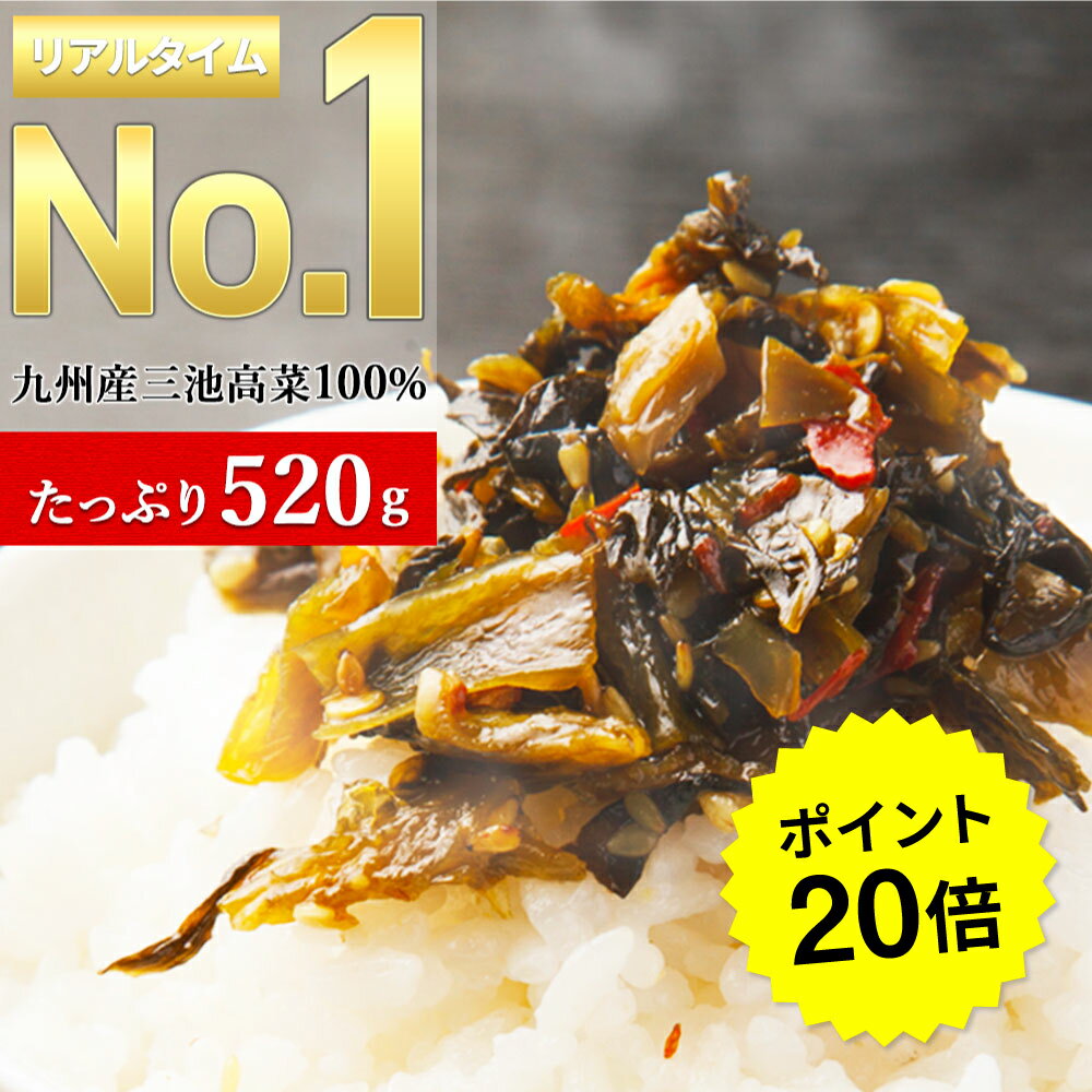 【~5/16 01:59まで★P20倍】 3種から選べる！ 辛子高菜 260g×2袋 からし高菜 高 ...