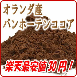 ココアパウダー オランダ産 V.H 10g トッピング用 最安値/製菓材料/製パン材料/お菓子材料/お菓子レシピ/お菓子/おかし/おやつ/パン/手作り/手づくり/バレンタイン/バレンタインデー/税抜10,000円以上送料無料