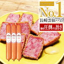 雲仙ハムギフトセット 800g×3本 ボロニアソーセージ 詰...