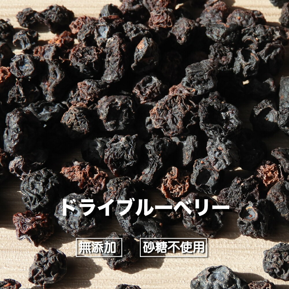 ドライブルーベリー 無添加 100g 送料無料 アメリカ産 ドライフルーツ ブルーベリー 美容 健康 ...