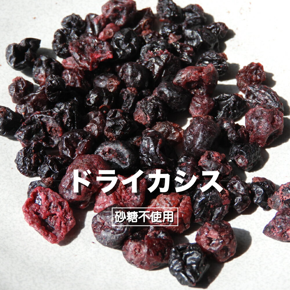 ドライフルーツ カシス ドライカシス 100g 送料無料 セルビア産 砂糖不使用 りんご果汁仕上げ 美容 健康 朝食 ヘルシーおやつ 保存に便利 チャック付き袋 ジップ付き袋 母の日 ジャム作り キャンプ 食べ歩きおやつ 子供 のおやつ 栄養補給 非常食 防災 ヨーグルト くりの里