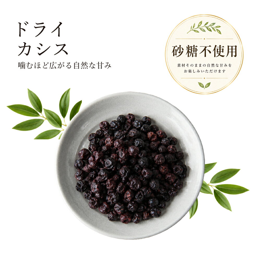 ドライカシス ドライフルーツ カシス 100g 送料無料 セルビア産 砂糖不使用 りんご果汁仕上げ 美容 朝食 ダイエット ヘルシー朝食 ヘルシーおやつ こどもおやつ 保存に便利 お手軽 チャック付き袋 お中元 贈り物 ジャム作り キャンプ 健康おやつ 防災 ヨーグルト くりの里