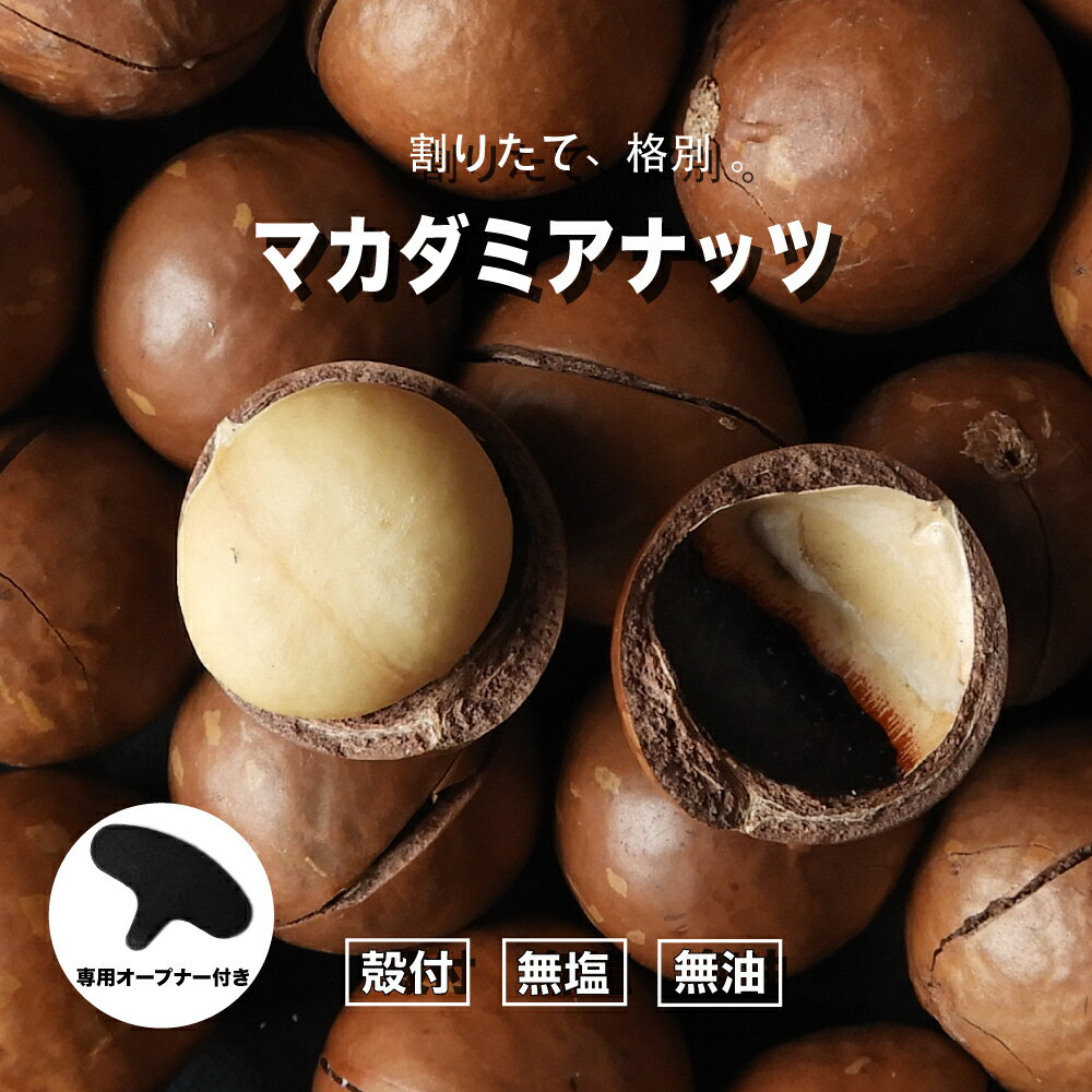 殻付きマカダミアナッツ 250g 送料無料 ベトナム産 無添加 マカダミアナッツ ロースト ナッツ おつまみ おやつ くりの里