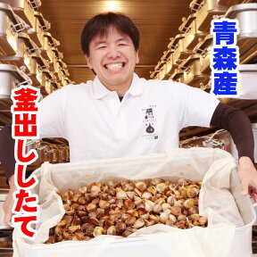 【送料無料】黒にんにく決定版！黒にんにく屋 大粒バラ 500g