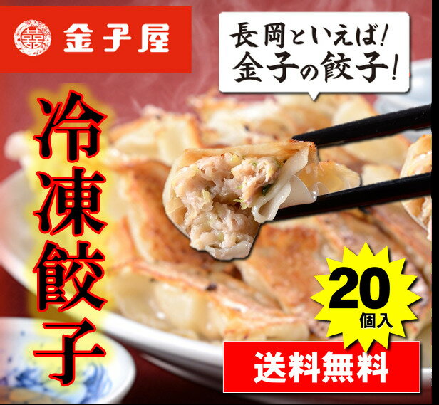 【送料無料】【お試し20個セット】餃子　20個入　冷凍　金子の餃子　新潟　長岡　大容量　街中華　焼き餃子　急速冷凍　包みたて　創業50年　金子屋　ビールのお供　餃子のタレ付き