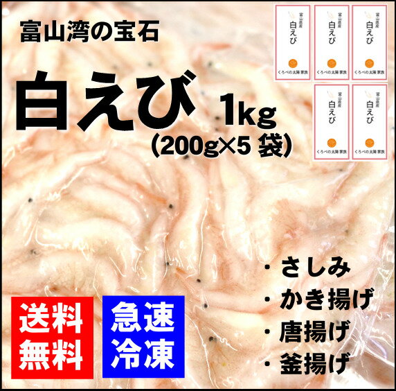 【送料無料】【お得パック】富山県産白えび冷凍殻付き1kg黒部素揚げ唐揚げかき揚げ吸い物パスタ北陸富山ご当地グルメ厳選ギフト魚介鮮魚真空パック