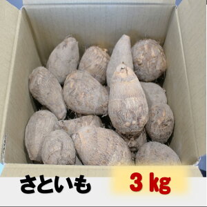 富山県産　里芋　3kg　無農薬　土付き　有機栽培　煮物　随時発送　黒部　国産　煮物　煮っころがし　筑前煮　コロッケ