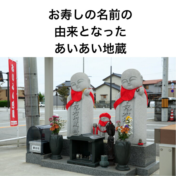 【あいあいにぎり寿し　光り】当店オススメ　富山　いきいき　冷凍寿司握り寿司8貫...