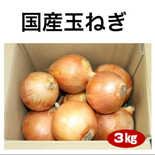 玉ねぎ タマネギ 3kg 玉ねぎ タマネギ 3kg