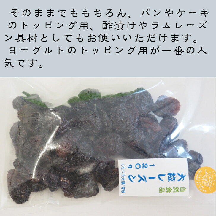 大粒レーズン　120g