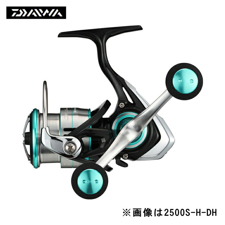 _C(Daiwa)O[uCh 19G_X LT 2500S-DH