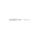 フィッシュラボ FISHLABO リヴァーチNEO 1.7inch #42極彩色GLOW アジング