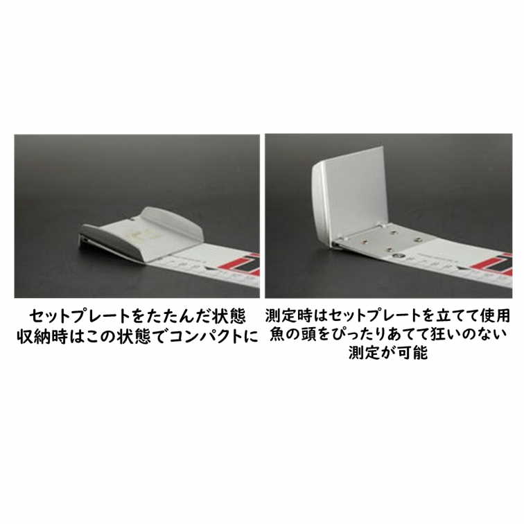 ダイワ(Daiwa)フィッシングメジャー3 スケール