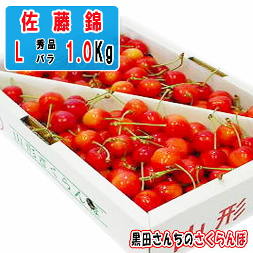 【6月中旬〜発送/通常販売】【送料無料】山形県 東根市 さくらんぼ 佐藤錦 L 約1kg 産地直送 ギフトに最適 バラ詰め サクランボ