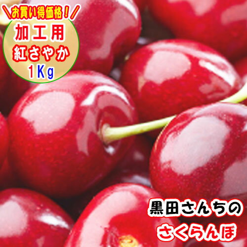 商品名：加工用　紅さやか1Kg 早生種の中では比較的大きい果肉です。 果皮の色は朱紅色で、登熟がすすむと朱紅色から紫黒色に変わり、アメリカンチェリーのようになります。 果肉はやわらかく食べ応えがあり、甘味と酸味のバランスがとてもよいさくらん...