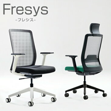 くろがね フレシス ブラックフレーム 可動肘/ランバーサポート付き FS121BF メッシュチェア オフィスチェア デスクチェア イス 椅子 オフィス家具 いす パソコンチェア ワークチェア デスクチェア リクライニング 腰痛 疲れにくい おしゃれ【早期納品可能商品】