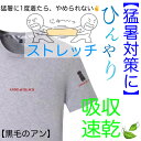【売れ筋】【猛暑対策】黒毛のアンのTシャツ(ラブ&ボーダーver)【接触冷感】触ると冷んやり素材だから涼しく着れる【吸収速乾】汗を吸収し素早く乾かすからいつもサラッと【ストレッチ素材】身体にピッタリフィット。激しい動きも楽々!