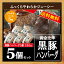 送料無料【黒豚生ハンバーグ5個】かごしま黒豚 /黒豚ハンバーグ5/ 冷凍 生ハンバーグ 業務用 作り方 クチコミ 食べたらやみつき!