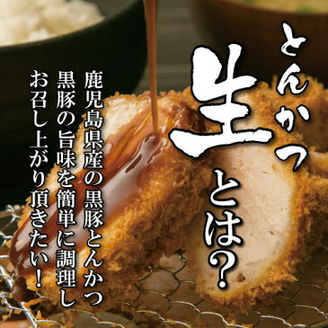 嵐 東京駅 放送 敬老の日 ギフト プレゼント 黒豚 生とんかつ バラエティ 鹿児島 黒豚 ヒレ ロース とんかつ ご家庭で調理　5袋セット（生・急速冷凍）/生バラエティセット/