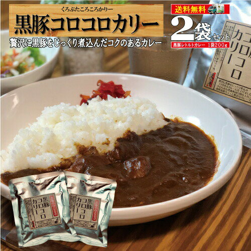 【期間限定!!ポイント5倍】カレー レトルト 送料無料 長期保存 スパイス ポーク カリー 豚肉 黒豚 カツカレー ポークカレー 惣菜 お手軽 時短【楽天カレーランキング1位獲得】/黒豚カレー2袋セット/黒かつ亭