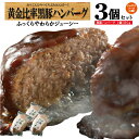 【最大15%OFFクーポン限定配布＆ポイント5倍★】黒豚 ハンバーグ 鹿児島 冷凍 生ハンバーグ 業務用 仕送り 真空 3個 セット/黒豚ハンバーグ3/黒かつ亭 お取り寄せ【月間優良ショップ受賞】