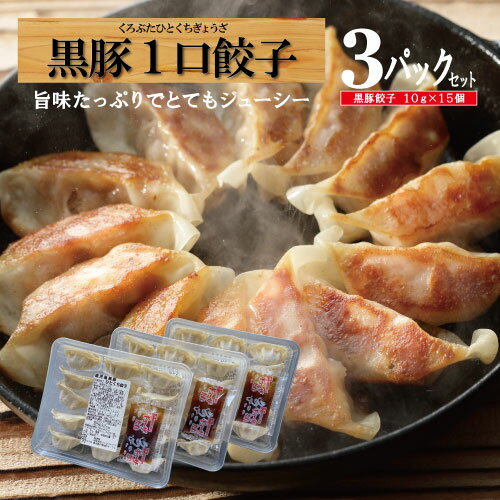 【期間限定価格★ポイント5倍!!】餃子 冷凍 一口餃子 黒豚餃子 鹿児島 黒豚 仕送り プレゼント 焼餃子 水餃子 生餃子 一口 鍋 黒豚生餃子 中華/一口餃子...