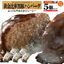 【スーパーDEAL★期間限定ポイントバック】母の日 ハンバーグ 冷凍 送料無料 ギフト 鹿児島 黒豚 おかず 惣菜 仕送り お弁当 ハンバーグソース 手作り 生ハンバーグ ジャポネソース 肉汁/黒豚ハンバーグ5/黒かつ亭 お取り寄せ【月間優良ショップ受賞】