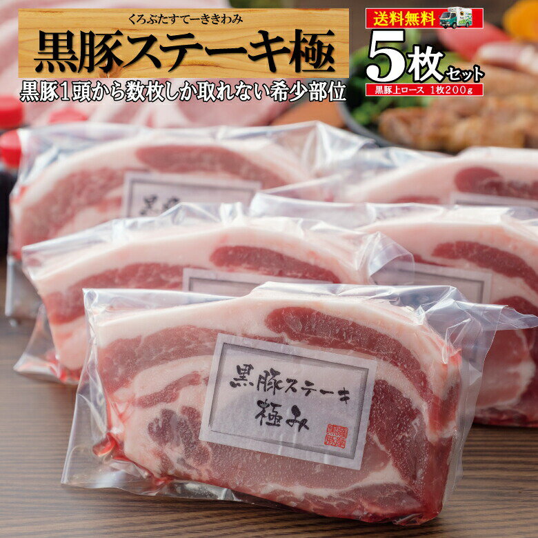 【ふるさと納税】茨城県産豚肉 ロース厚切り1kg（100g×10枚）｜肉 お肉 スライス 国産 1000g 500g×2パック